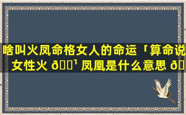 啥叫火凤命格女人的命运「算命说女性火 🌹 凤凰是什么意思 🐳 」